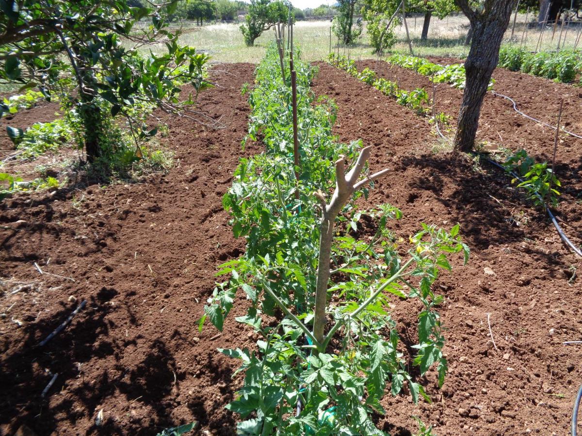ארטה Agroturismo Na Set Centes - Adults Only מראה חיצוני תמונה