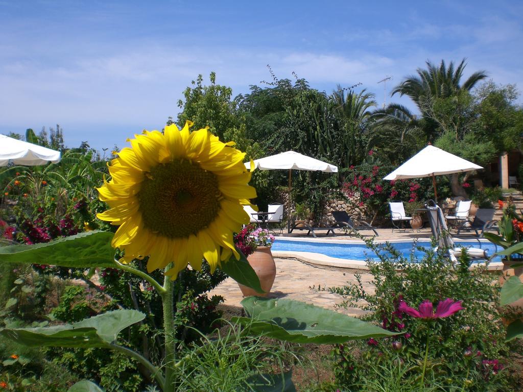 ארטה Agroturismo Na Set Centes - Adults Only מראה חיצוני תמונה